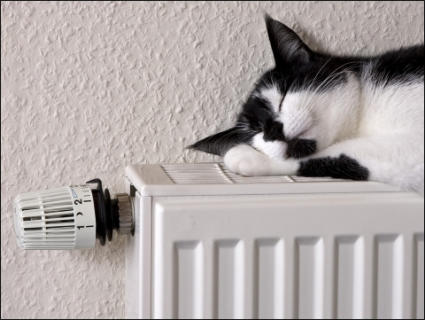 Central heating in Taunton